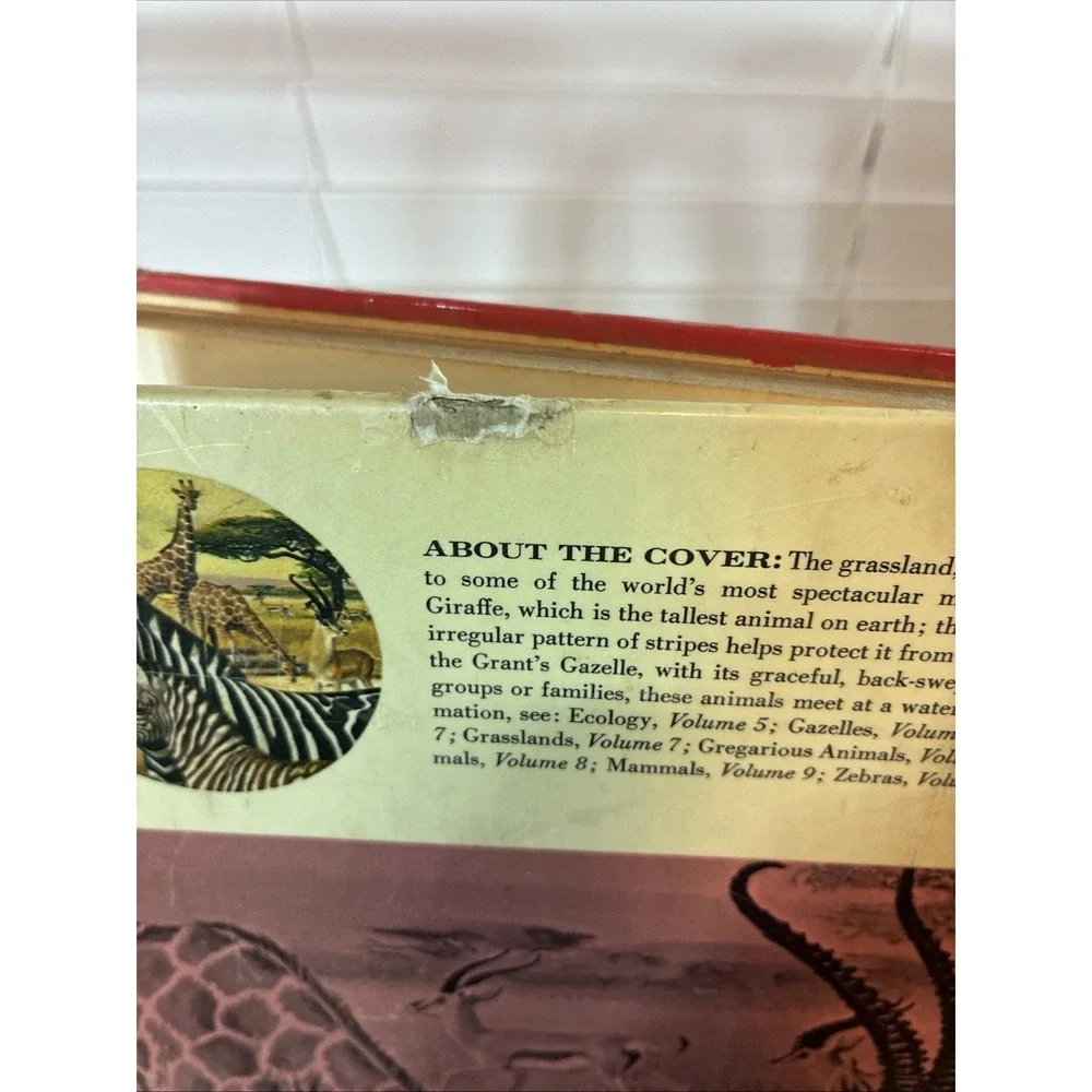 N/A golden book